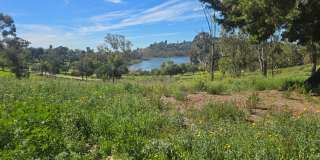 1 Bed 1 Bath Close to Lake Murray Gallery 24