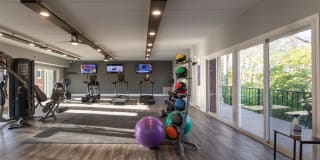 College Woods Gallery 51