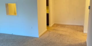 Elmwood Park Gallery 8