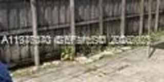 2631 Fillmore St Gallery 19