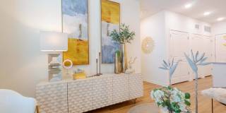 Altera Jacaranda Gallery 15