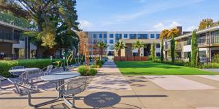 Lorien Ivy Apartments Gallery 38