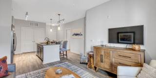 The Artessa Gallery 4