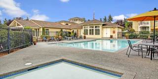 Lakeside Gallery 19