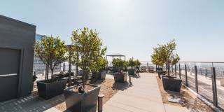 Aven Aven Gallery 22