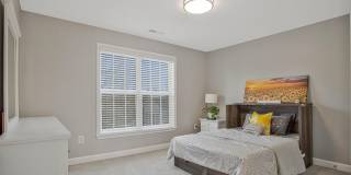 12902 CRICKMORE Trace Gallery 25