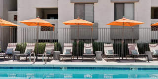 Twin Palms Gallery 2