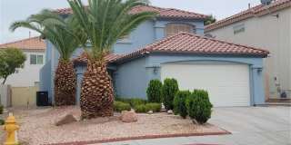 10216 Moth Orchid Court Gallery 1