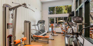 Governor's Park Gallery 35