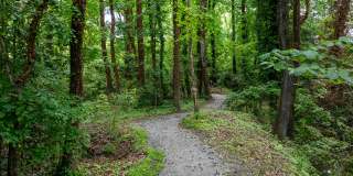 AMLI Brookhaven Apartments Gallery 20