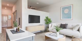 Solis Gainesville Gallery 37