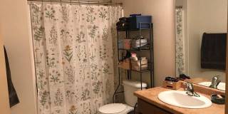 21 Orange Gallery 43