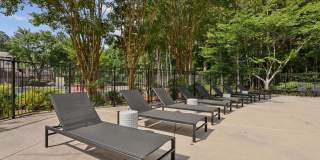 Ellington Woods Apartments Gallery 15