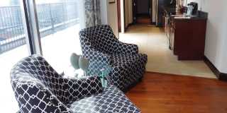 Gallery 515 Gallery 8