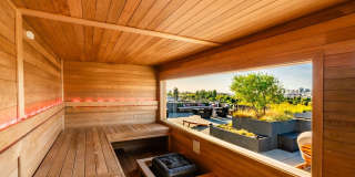 Star Harbor Gallery 35