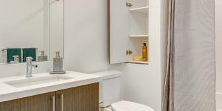 The Merian Gallery 56