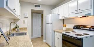 Lime Tree Village Gallery 2
