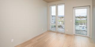 Yacht Harbor Club Gallery 42