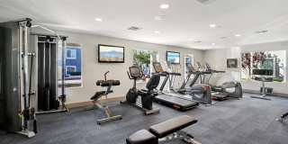 Camino Al Norte Gallery 1