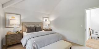 4BR/2.5BA Stunning Spacious Tiburon Home! Pool! Pet Friendly!  PROGRESSIVE Gallery 31