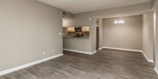 Sussex Downs Gallery 21