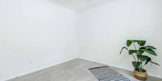 Tesla Park Gallery 60
