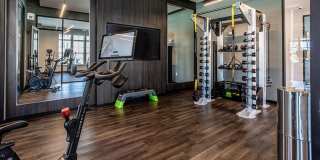 Holly Springs Gallery 21