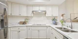 Live Elevated in the Heart of North Park! Live Elevated in the Heart of North Park! Gallery 1