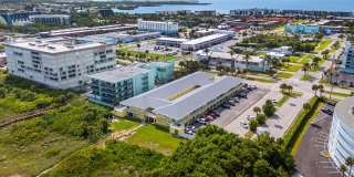 Dolphin Beach Gallery 31