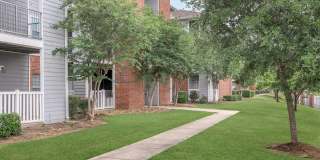 Trails at City Park Gallery 40