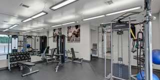 Fiona Gallery 8