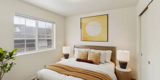 Native Sun Gallery 2