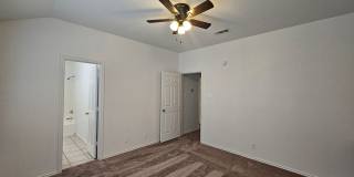 AVAILABLE NOW! Gallery 12