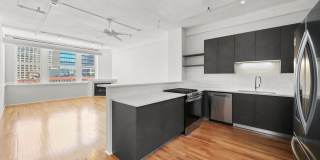 161 W Harrison Street Gallery 2