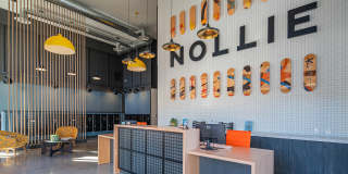 Nollie Gallery 11