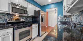 11321 HALETHORPE TER #205 Gallery 2