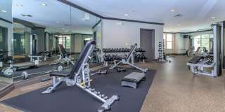 Emerson at Cherry Lane Gallery 15