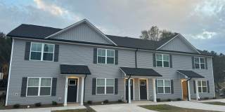 New Construction! 3 bed 2.5 bath townhome New Construction! 3 bed 2.5 bath townhome Gallery 1