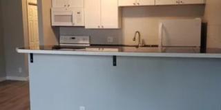 2229 Collyer Street Gallery 2