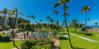 Maui Sunset Condo!! LOCATION, LOCATION, LOCATION!! Gallery 39