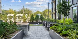 One Noda Park Gallery 42