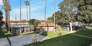 Tierra Palms Gallery 96