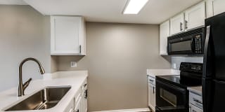 Heron Lake Gallery 2