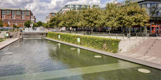 Insignia On M Gallery 42