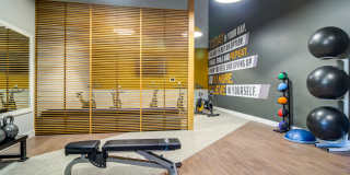 MonteVista Gallery 15