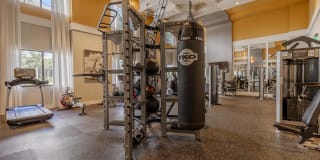 AMLI 8800 Gallery 10