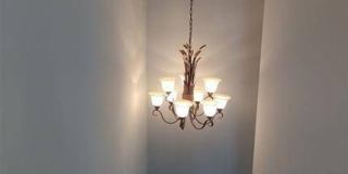 113 Maple Place Gallery 10