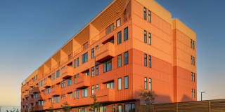 The Lindy Gallery 37