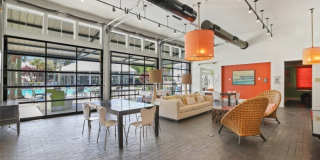 The Palms Gallery 14