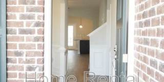 25 Sago Palm Way Gallery 4